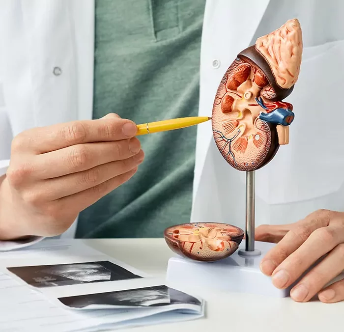 urologia-cm-medicum.jpg