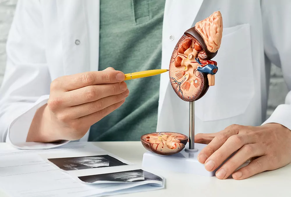 urologia-cm-medicum.jpg